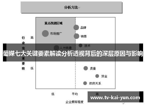 葡媒七大关键要素解读分析透视背后的深层原因与影响