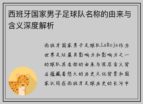 西班牙国家男子足球队名称的由来与含义深度解析